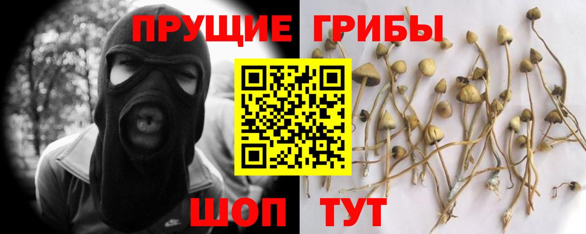 Псилоцибиновые грибы MAGIC MUSHROOMS  Вход с VPN  Татарск  Галлюциногенные грибы Psilocybe 