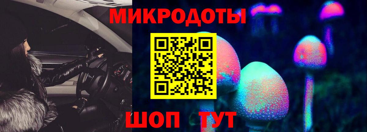 Псилоцибиновые грибы Psilocybine cubensis Татарск